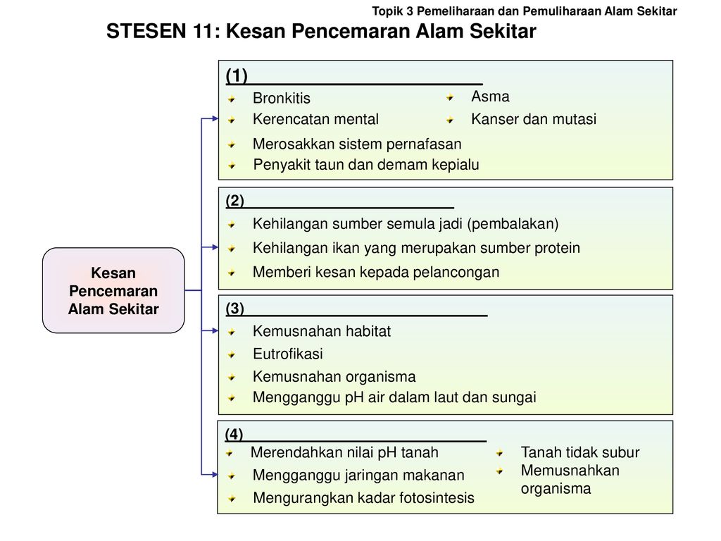 Kesan Kesan Pencemaran Alam Sekitar Brenda Lopez